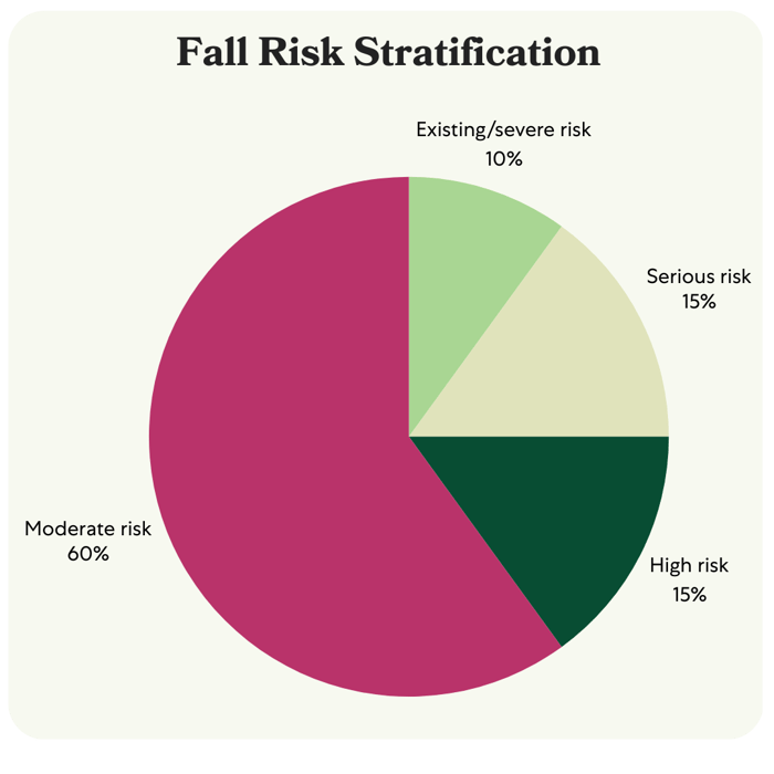 Falls Cost Report_Risk Categories